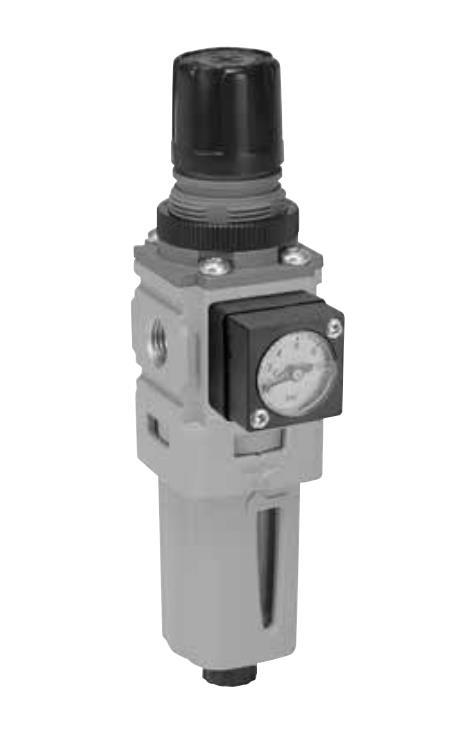 P31 FILTER/DERUCE G1/4 0-2 BAR + MANO MANUAL. DRAIN