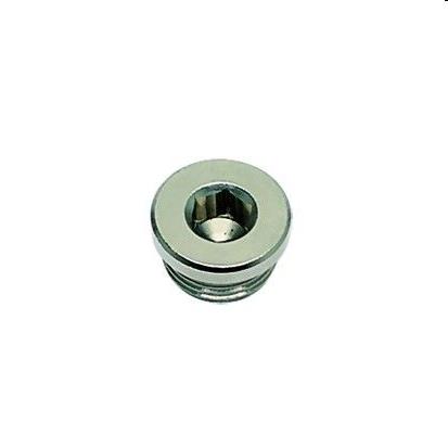 PLUG, BSP CYL &AMP;METR - BLADE VERN - C: G1/4 | 0919 00 13
